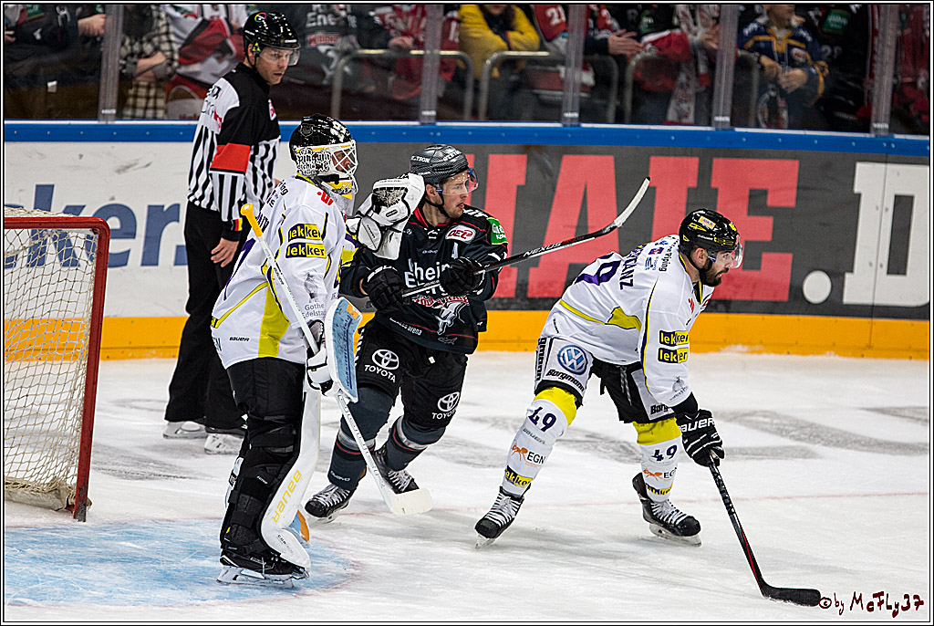 Koelner Haie - Krefelder Pinguine, 22.11.2016